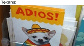 Timeline: Hailey Hamilton 6