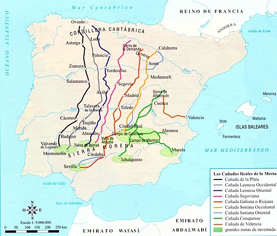 El honrado Concejo de la Mesta