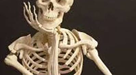 Timeline: Rylee Johnson