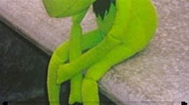 Timeline: Hailey Hamilton 6