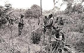 Portuguese troops fought in the war