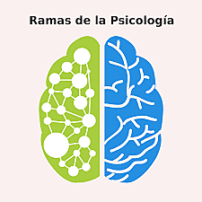 Ramas de la psicología.