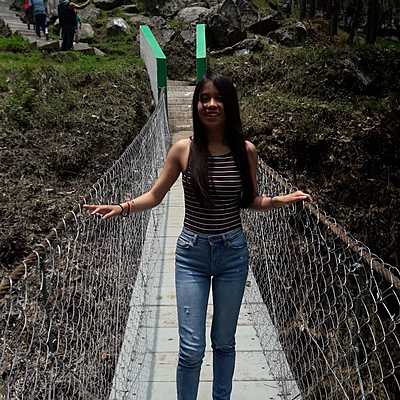 Timeline: Linea de tiempo