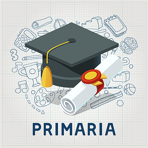 Grado de primaria