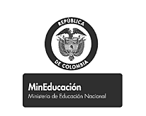 Conceptualización del Ministerio de Educación Nacional