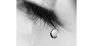 The Death of Henry Trollinger McNutt