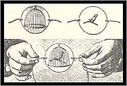 TAUMÁTROPO:PRIMERA IMAGEN EN MOVIMIENTO