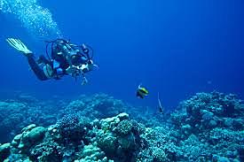 Fotografía Submarina