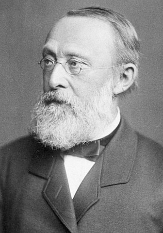 Принцип Рульфа Вирхова