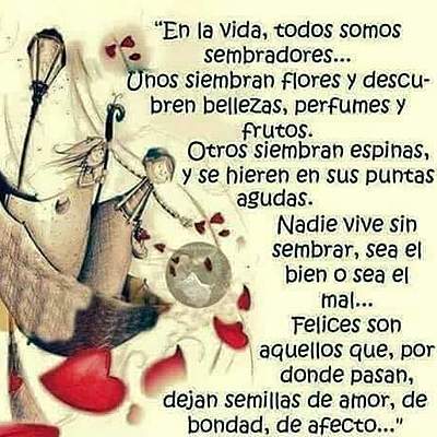 Timeline: Archivos Pdf