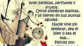 Timeline: Archivos Pdf