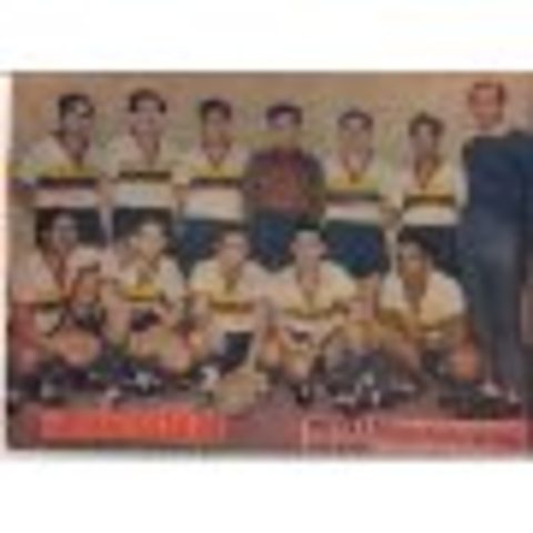 Campeonato Sudamericano de Selecciones 1945, sede: CHI campeón: ARG