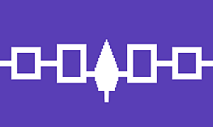 Indian Self Determination and Education Assistance Act