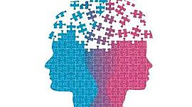 Timeline: Cronología