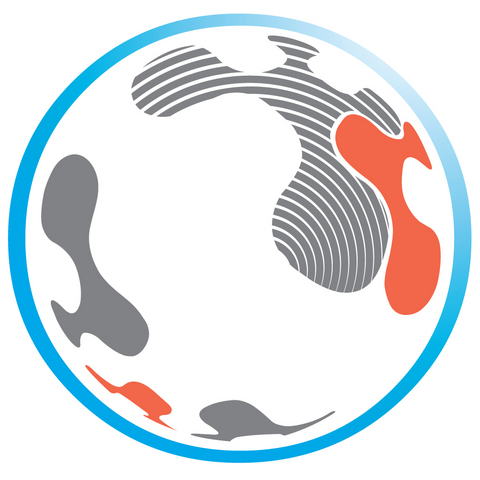 The UN ICT Task Force launches GESCI