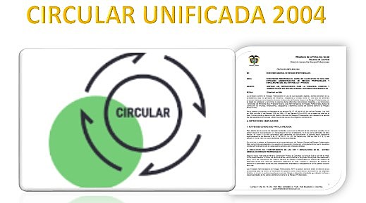 MINISALUD  CIRCULAR UNIFICADA 2004