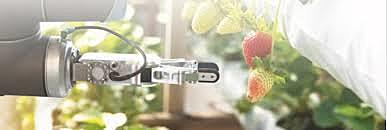 Objetos Virtuales de Aprendizaje OVA