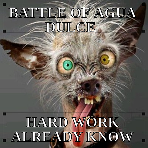 Battle of Agua Dulce