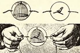 Taumatropo del doctor Pari