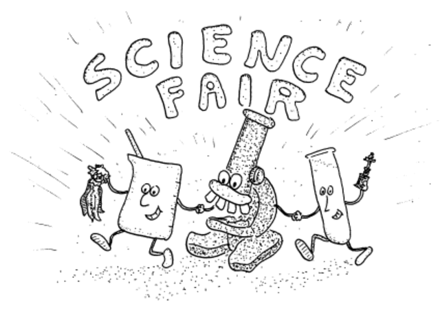 Adolescence Cognitive