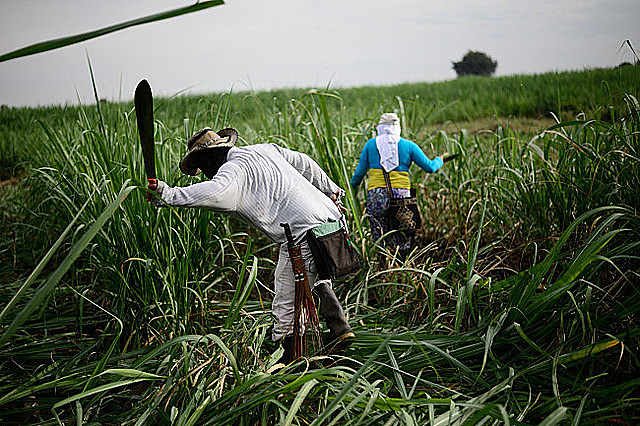 Tierras de las Comunidades Negras
