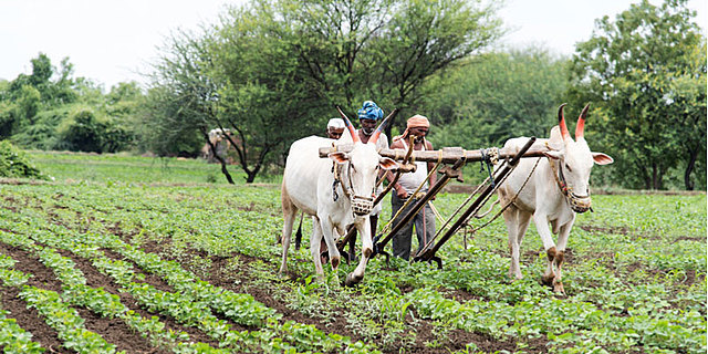 Cerca de la mitad de los retornados a nivel nacional llegó a localidades rurales (29.0%) o semi-rurales (16.7%)