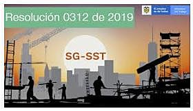 RESOLUCIÓN 0312 de 2019