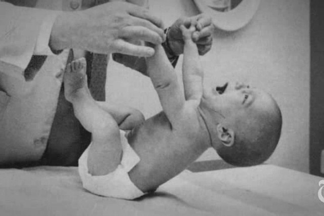 Hilary Putnam Birthdate