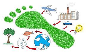 Huella ecológica. Parte 3