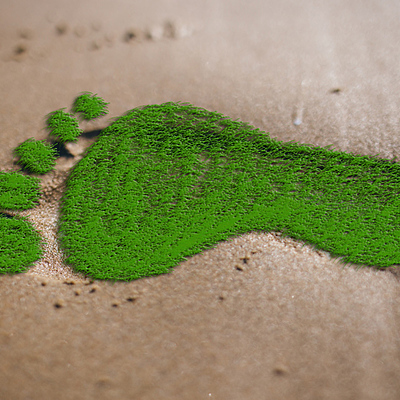 Timeline: Huella ecológica.