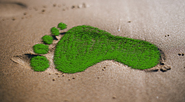 Timeline: Huella ecológica.