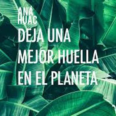 Timeline: Huella ecológica