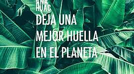 Timeline: Huella ecológica