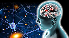 Timeline: La Neuropsiocología en el Tiempo