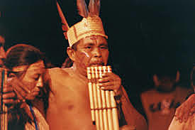 Apertura constitucional de 1991, diversidad étnica y cultural y ordenamiento político: aproximación filosófica política