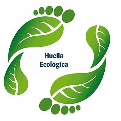 Timeline: Huella Ecologica
