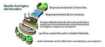 Impacto de la huella ecologica