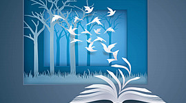 Timeline: Reconociendo mis competencias