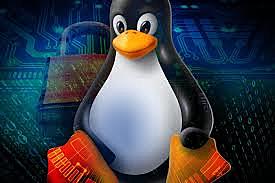 Cuando Linus Torvalds comenzó a trabajar en Linux