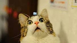 Timeline: Historia de telefon móvil_Cristian Salazar Pacheco