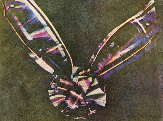 Fotografía en color