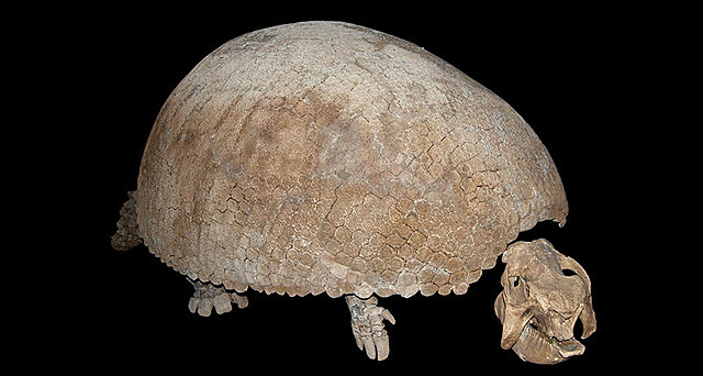 Charles Darwin 1809-1882 Began Voyage Aboard the HMS Beagle