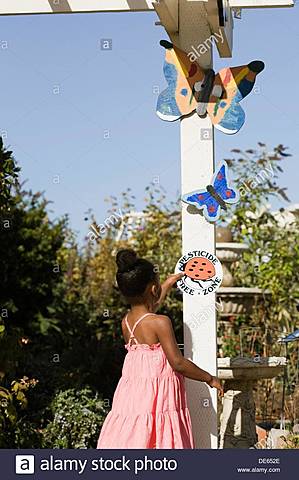 Starting Elementary School Again