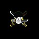 Zoro captain