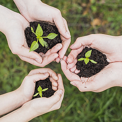 Timeline: Sustentabilidad