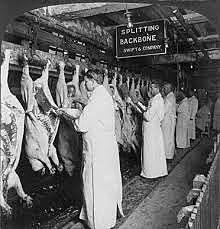 Pure Food & Drug Act and The Meat Inspection Act are passed