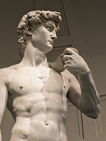 Michelangelo completes the sculpture the David