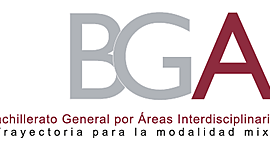 Timeline: Responsabilidades del Asesor del BGAI