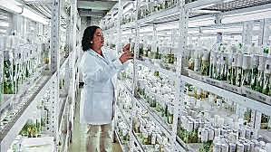 Palabras del Comisionado. RODOLFO R. LLINÁS