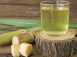 Cultivo de caña en las tierras medias andias